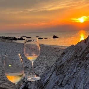 Meet your Posher, Sandy